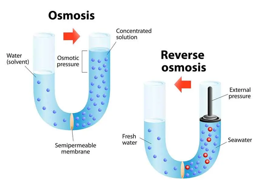 8 Inch Seawater Desalination RO Reverse Osmosis Membranes for Chemical Industry Water Treatment Purification RO Membrane